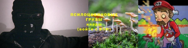 прущие крисы Алзамай