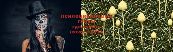 экстази Алексеевка