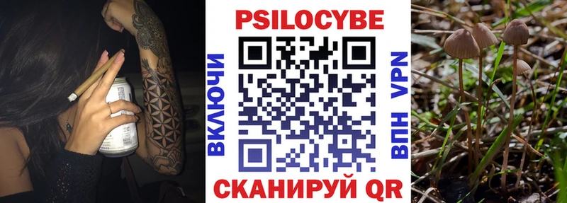 Галлюциногенные грибы ЛСД  Купить где  Губкинский 