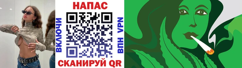 Купить где Губкинский Канабис семена